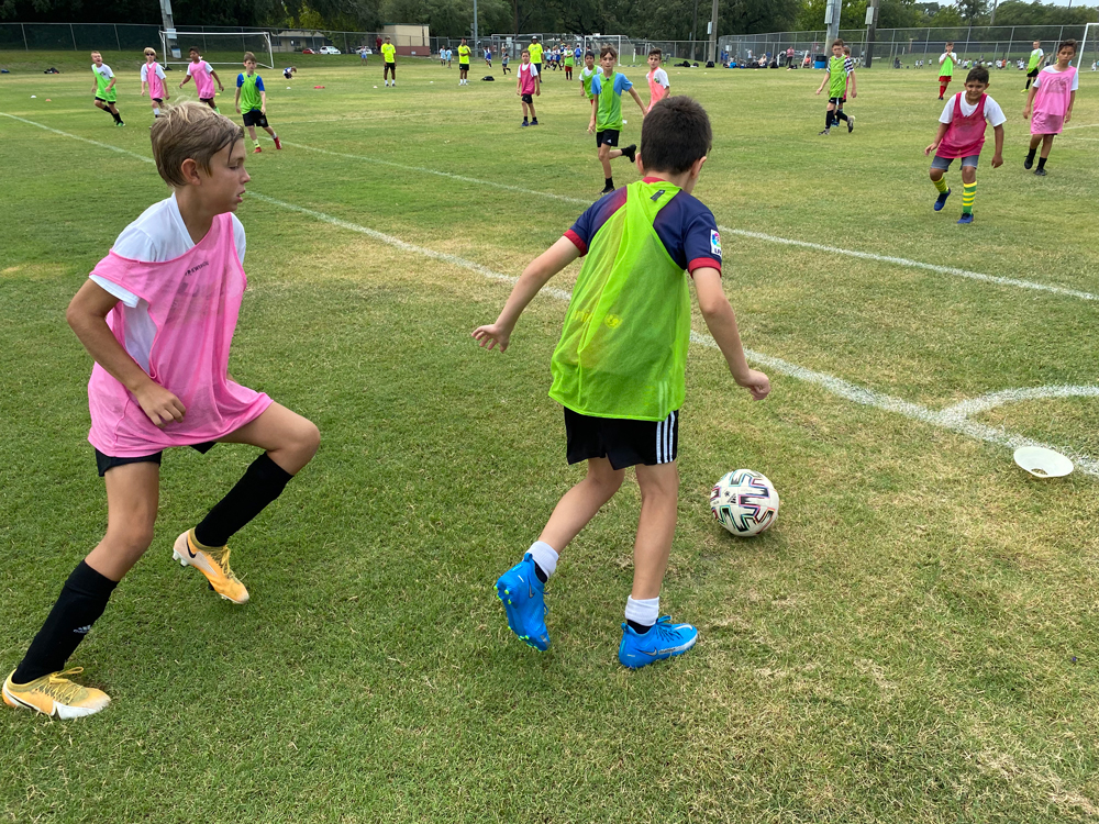 USF Soccer Camps